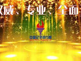 【国际品牌网推荐文化品牌】中国记录排行榜